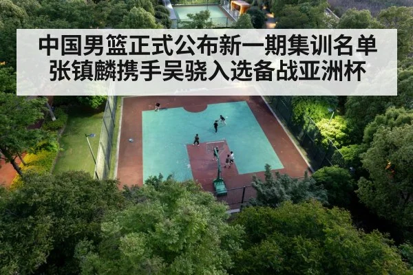 中国男篮正式公布新一期集训名单张镇麟携手吴骁入选备战亚洲杯